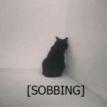 Photo by puppy the e-clown 🜬 (he/xe) (@cum_binary)
