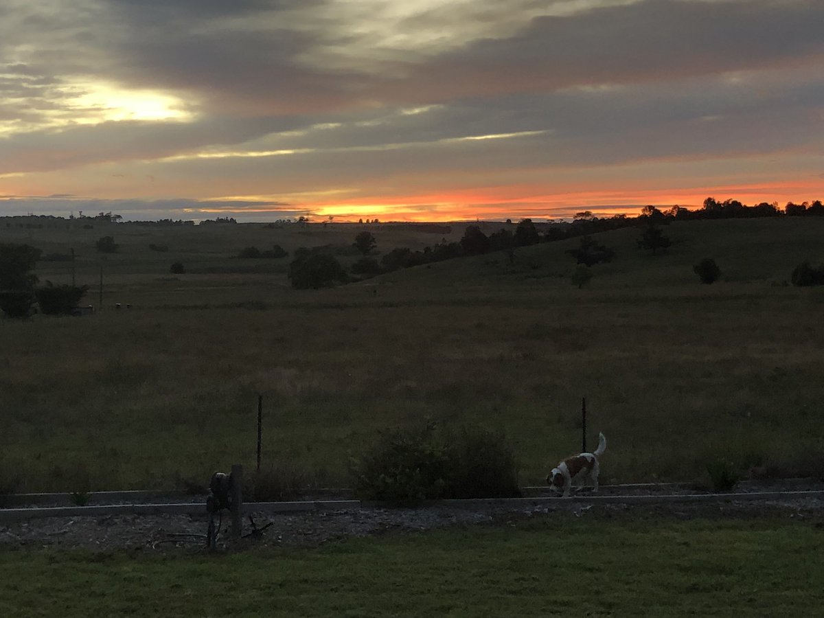 1/1/22 Happy New Year to you. Kellys Plains, Armidale, NSW