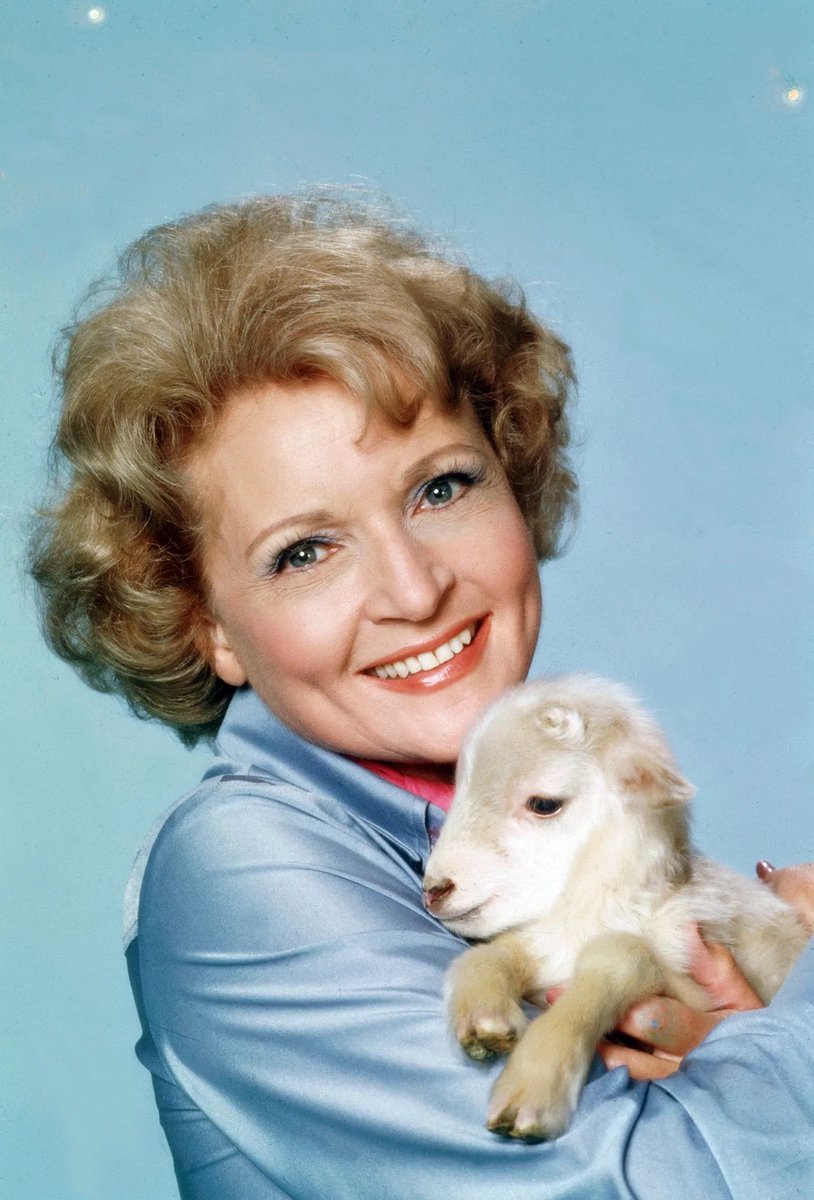 Jeff__Benjamin's tweet photo. Heartbreaking to hear Betty White has passed. Just ahead of her 100th birthday. What an amazing woman, actress and soul. Such a legacy she lives behind. Rest In Peace

"Funny never gets old" https://t.co/oLgl766UL3