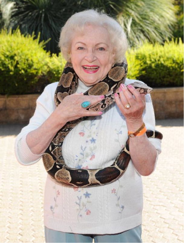 unhinged tweets (@unhingedtwit) on Twitter photo 