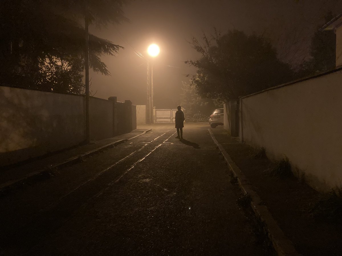 Journal d’un covidé