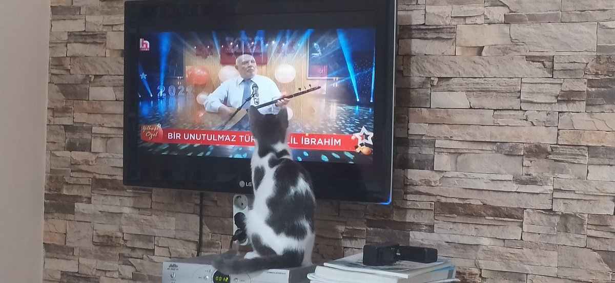 Resul KAHYAOĞLU tweet media