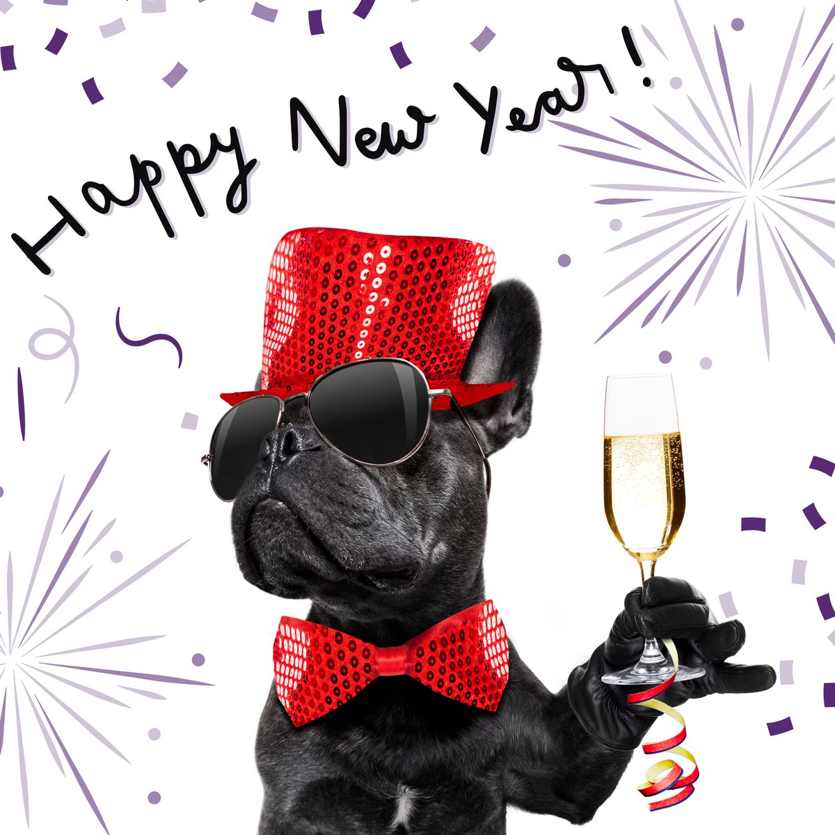 maventracker's tweet photo. Happy New Year! May the coming year be full of grand adventures and opportunities. 🐶 🐈 ⁣#HappyNewYear2022 https://t.co/E0khpgmpfU