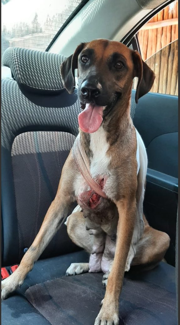 Yoni Freedhoff 🤟 tweet media