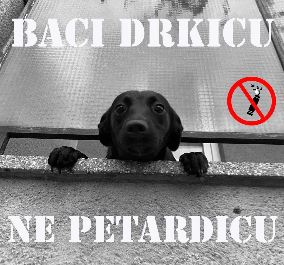 Najdeblji's tweet photo. Zabavite se večeras... Nek' vam svima bude super noć... I posluhnite Lunu kaj vam ima za povedati! Grow up! 😐 https://t.co/ti1R7hFEBf