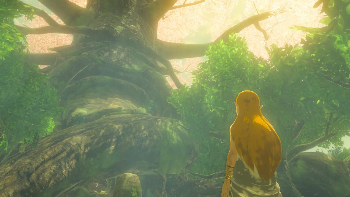 RotsusTv's tweet photo. #BreathoftheWild #NintendoSwitch https://t.co/4ws3NpX7yx