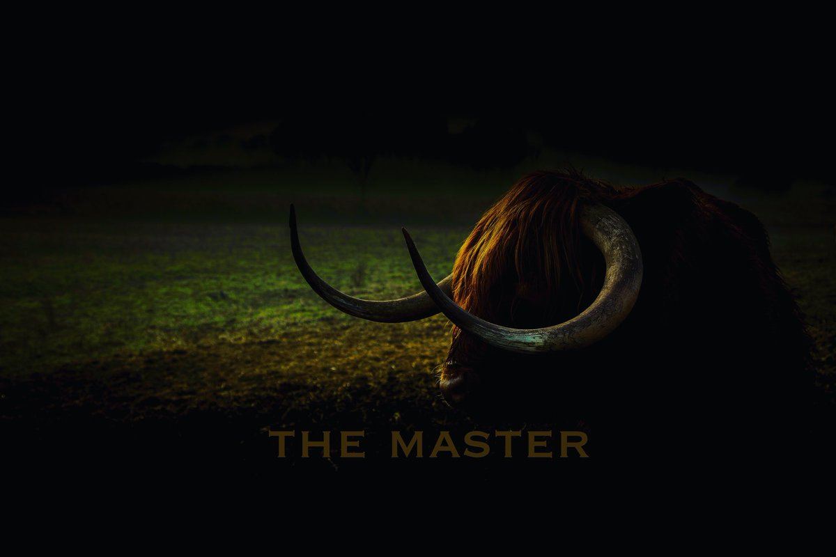 TheMasterNFT tweet media