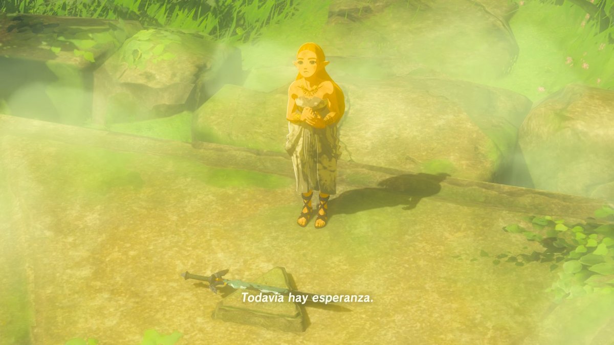 RotsusTv's tweet photo. #BreathoftheWild #NintendoSwitch https://t.co/58JjrZdxKr