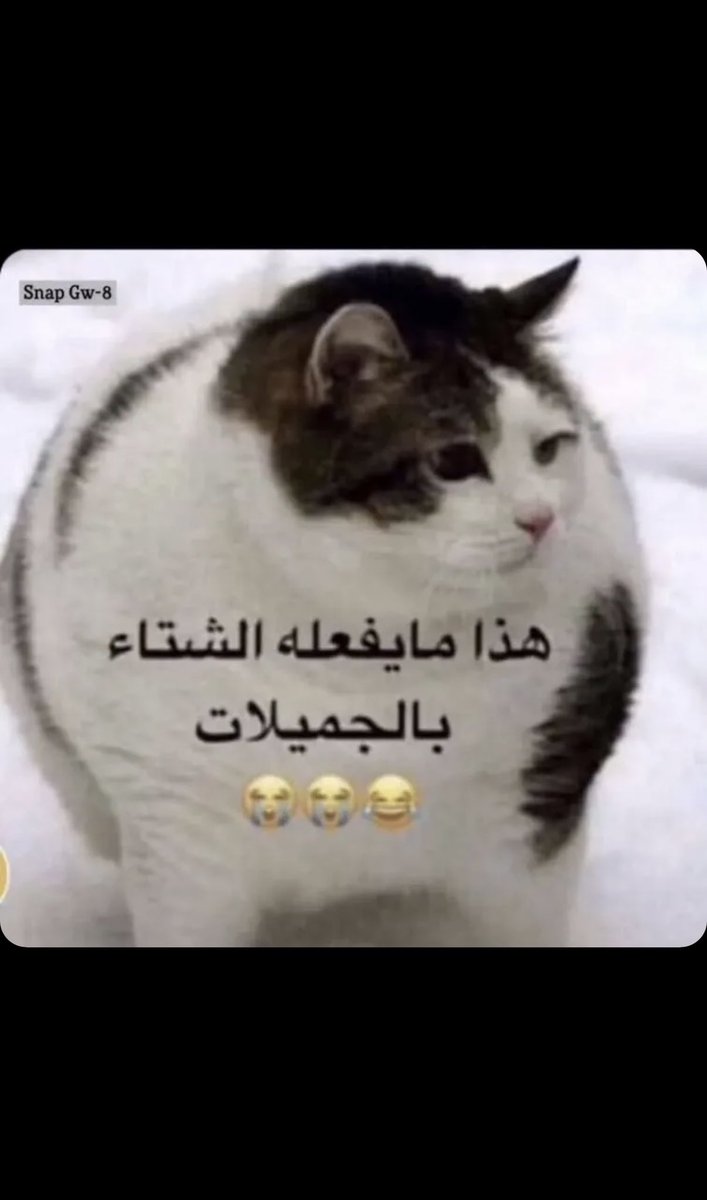المقوله ماعجبتني انا ماصدقت 😂😂