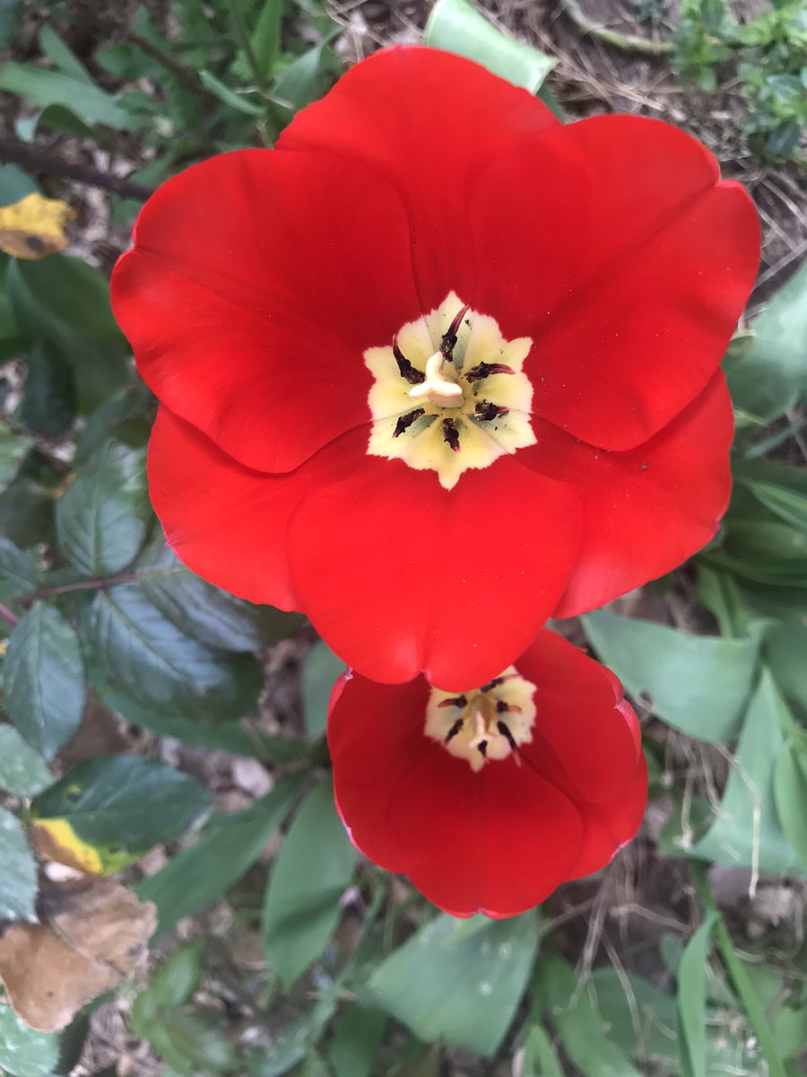 İnsanlığa, doğaya, hayatlarımıza güzellikler getirsin 2022. Cehaletin gerilediği, liyakatın ve dürüstlüğün öne çıktığı, güçlünün değil haklının kazandığı bir dünya olsun. Gönlünüzden geçen tüm iyilikler gerçekleşsin.