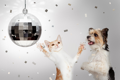 clearbit's tweet photo. What a year it's been! 🤯 It's time to grab your champagne 🥂 and celebrate! We'll see you in 2022 for more #dataenrichment, #pipelinebuilding & #leadconverting. 🎊 https://t.co/WwhhKbbXUh