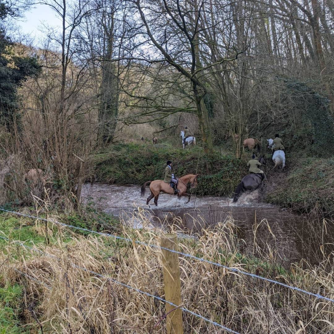 staffssabs's tweet photo. A chance to sab the notorious Wynnstay in Cheshire today - multiple lives saved, badger setts unblocked, and miserable scum faces 🙃🦊🦊🦊
https://t.co/vU4oPp4nGh https://t.co/NJhvkNVrWt