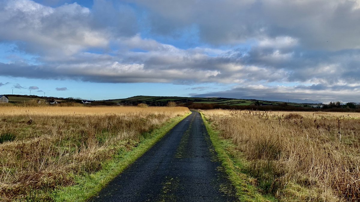 Sand_traps's tweet photo. On the road to 2022, may it bring you all lots of #nature and #goodhealth!

#Goodbye2021 https://t.co/eiX9eGXMHn