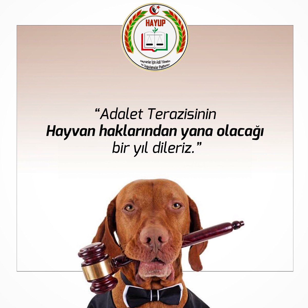 GulsahGorur's tweet photo. Adalet Terazisinin Hayvan haklarından yana olacağı bir yıl dileriz ⚖️🐾

#hayup #adana #yeniyıl #yılbaşı #hayvanhakları https://t.co/JbN0MFZmAR