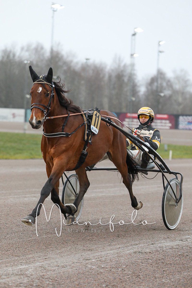 aktiealbin's tweet photo. Ego Sisu vilken kompis. Stort tack alla hört av sig och tusen tack Emma, Martin och Markus för alla upplevelser ni gett mig med den här ❤ Så himla coolt att ha en V7-vinnare. Lätta steg in i 2022 nu! https://t.co/4k0tlIjWWk