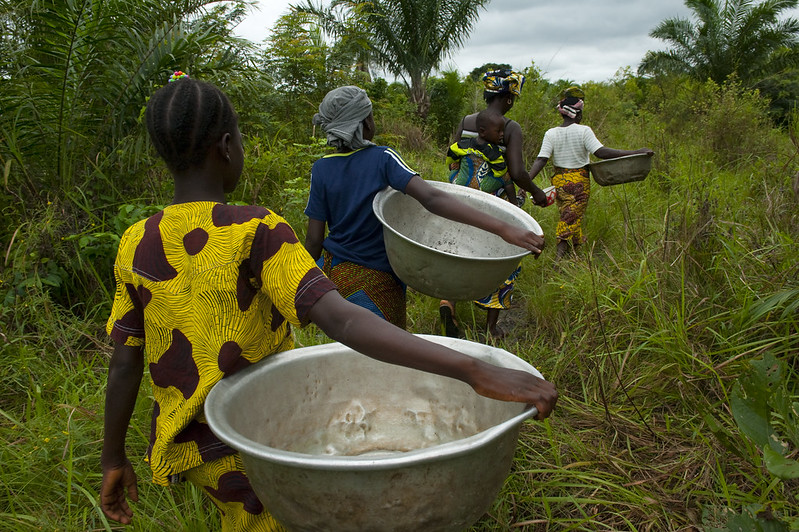 World Bank Water tweet media
