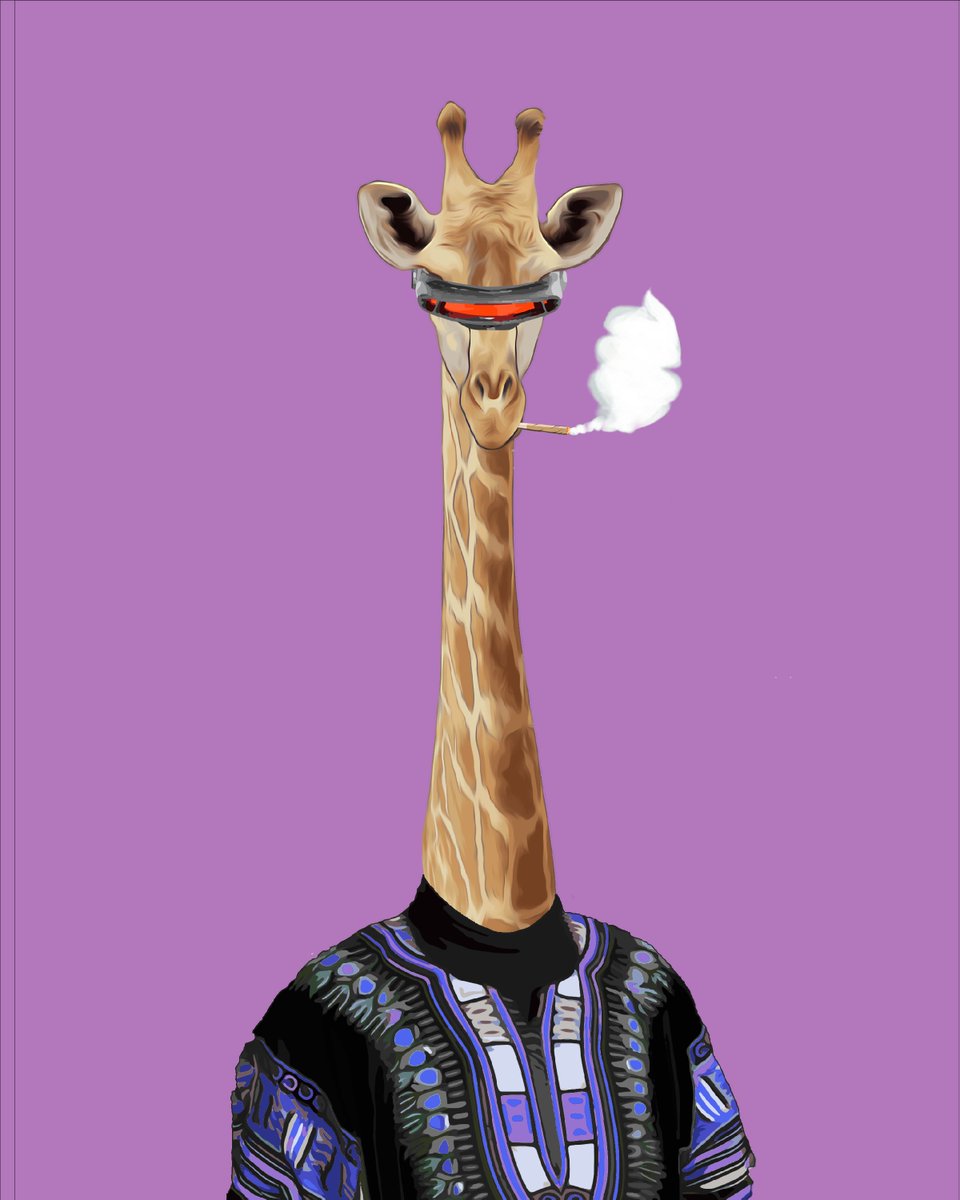 Afro Jungle tweet media