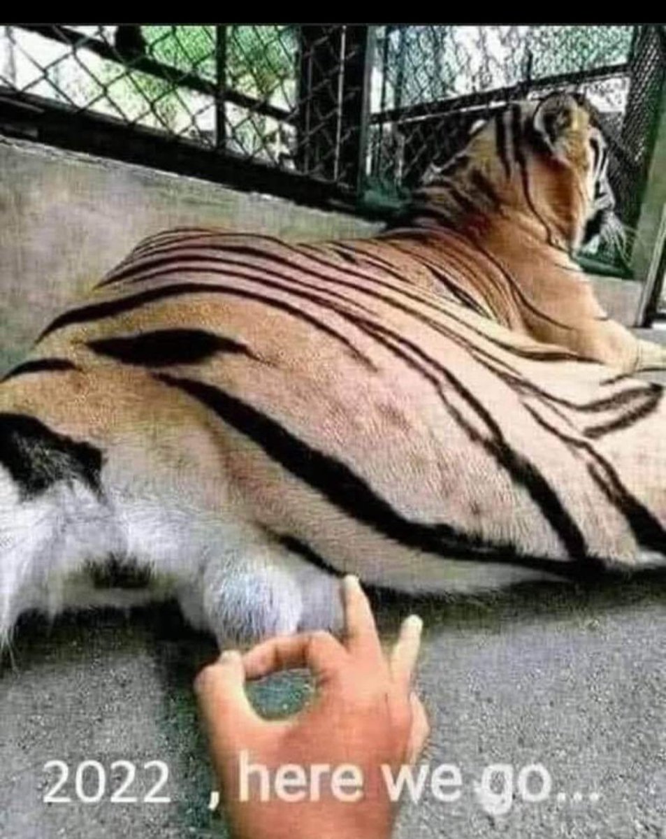 🔮🌛🌚🌜🔮 tweet media