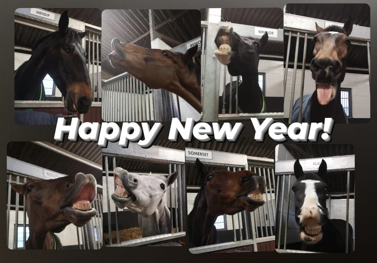 ASPoliceHorses tweet media