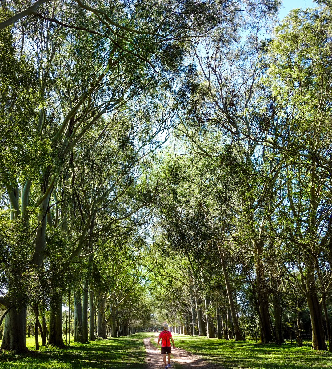 gui10road's tweet photo. ATENCIÓN ✋🏽 último hilo del año con 12 lugares de Argentina, no tan turísticos, para guardar y visitar en 2022👇📸🇦🇷 https://t.co/XfsRCdYRxp