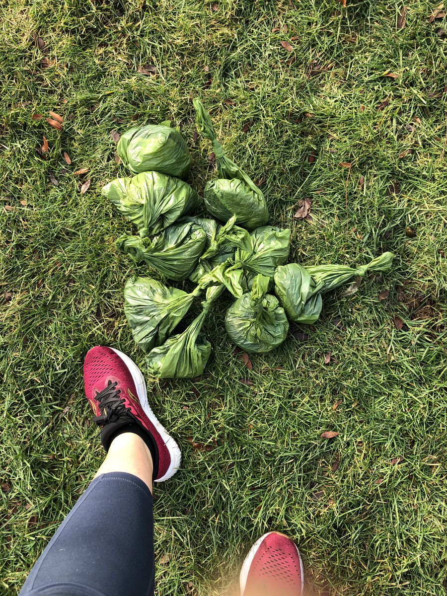 I picked up all the poop 💩 in my backyard today and made my 14YO son help his dad out together a piece of furniture … so we are ending 2021 very much #onbrand with the vibe of the year doing stuff we hate and is distasteful and necessary 

#HappyNewYear2021