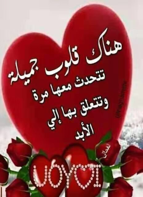 abd_u1's tweet photo. https://t.co/QiWzhhu3rZ