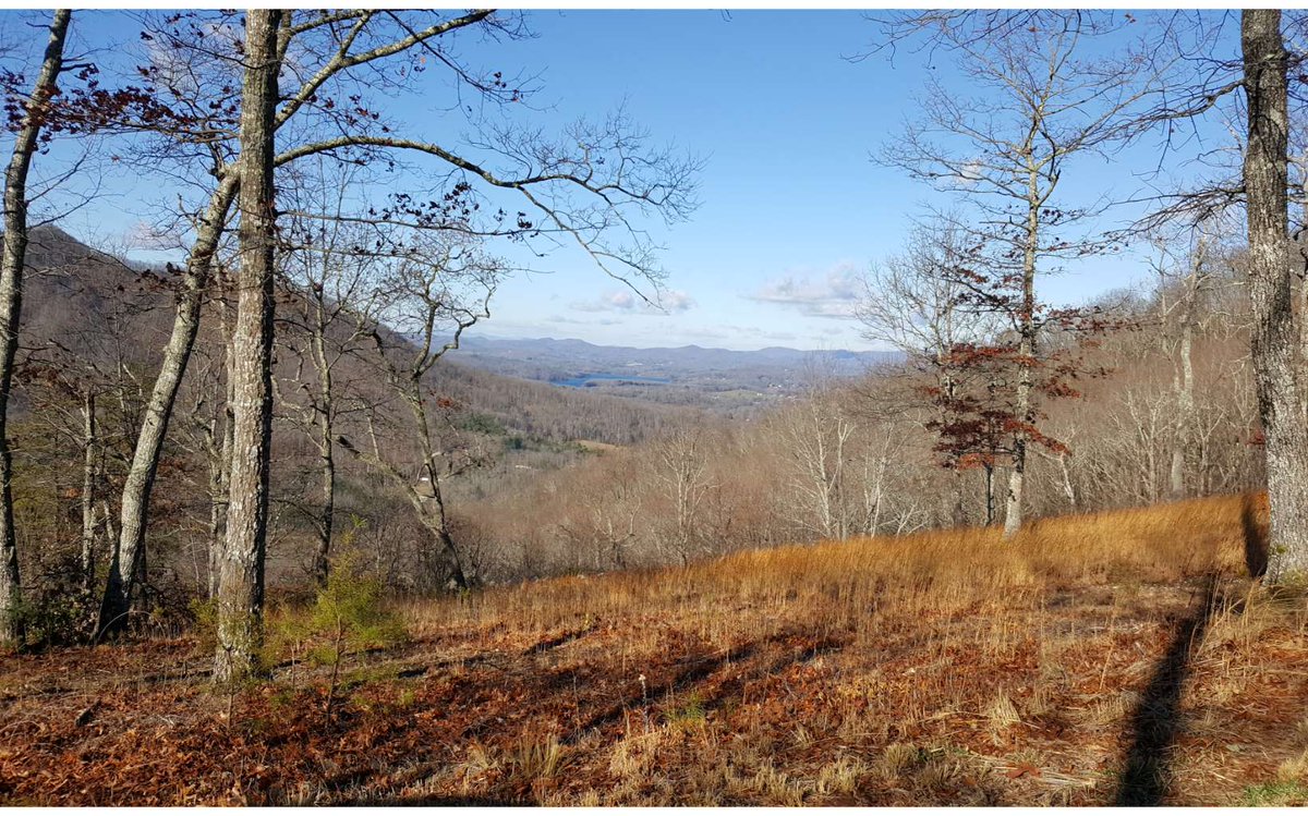 Mike_Stewart12's tweet photo. See a virtual tour of my listing on Lt137 Shiloh Ridge #Hayesville #NC #realestate https://t.co/ngd6BND3Ub https://t.co/pyN31HgsgD