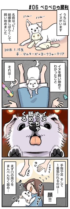 イッヌ、飼い主をペロペロしすぎ問題を描きました🐶
みんなのおうちのワンちゃんはどお?😂✨ (1/2) 