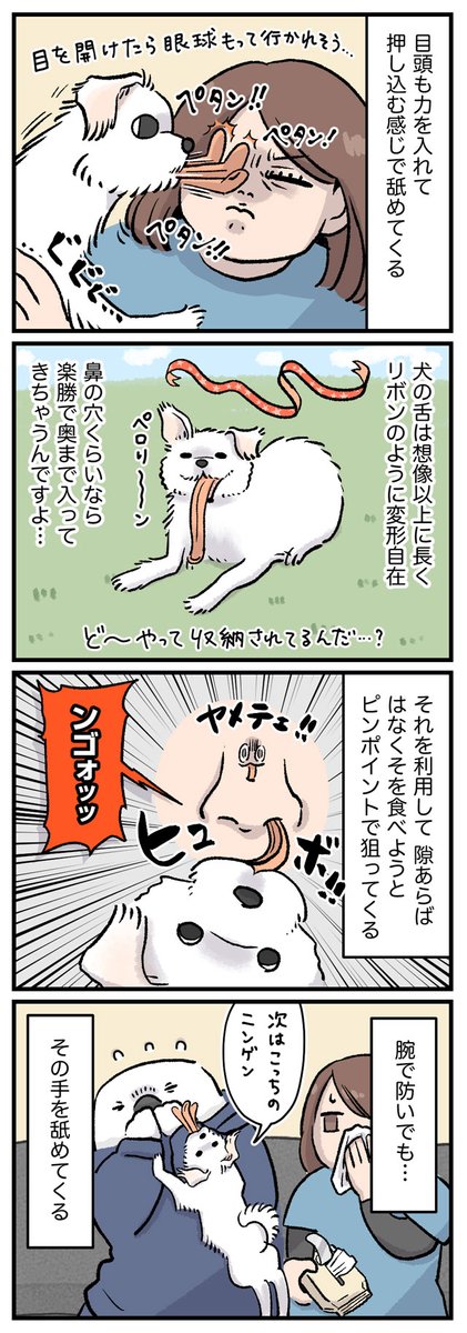 イッヌ、飼い主をペロペロしすぎ問題を描きました🐶
みんなのおうちのワンちゃんはどお?😂✨ (1/2) 