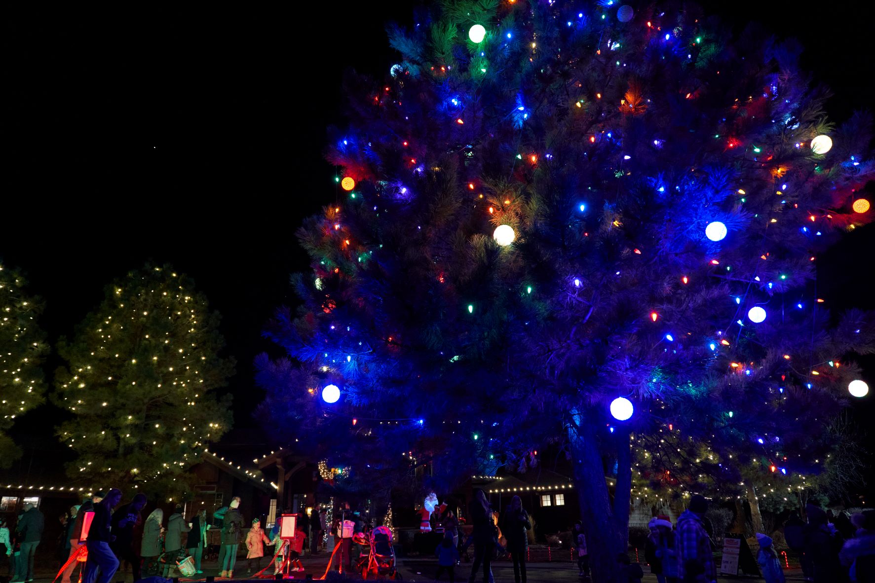 Boulder Creek Christmas Tree Festival 2022 Tweets With Replies By City Of Castle Pines (@Castlepines_Co) / Twitter