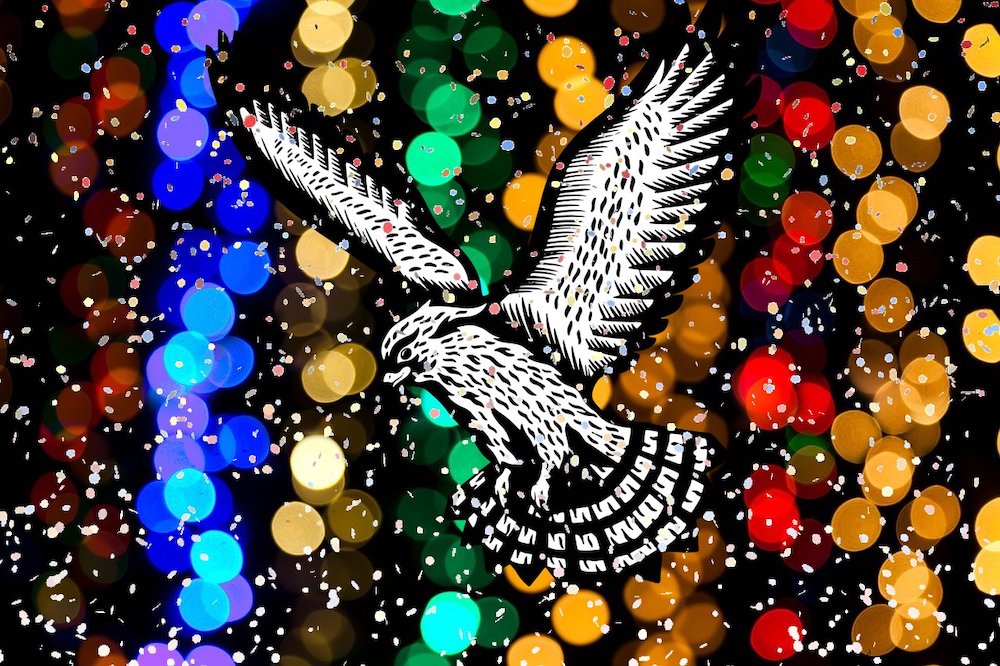 HaggardHawks's tweet photo. A very happy new year everyone! Thanks as always for liking, sharing, and following all things @HaggardHawks in 2021 – it really is appreciated :) 

Here’s to a happy and healthy 2022 x https://t.co/EDDDLdxfYC