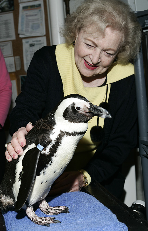 Julie Packard (@juliepackard) on Twitter photo I’m honored to have known Betty White through her support for our Sea Otter Program & of <a href="/MontereyAq/">Monterey Bay Aquarium</a>. Her joyful and generous spirit made her an inspiring friend to people and animals. I'm deeply grateful for her friendship and generosity over the years. #ThankYouForBeingAFriend I’m honored to have known Betty White through her support for our Sea Otter Program & of <a href="/MontereyAq/">Monterey Bay Aquarium</a>. Her joyful and generous spirit made her an inspiring friend to people and animals. I'm deeply grateful for her friendship and generosity over the years. #ThankYouForBeingAFriend