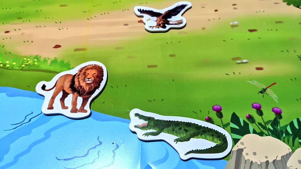 Tetsuro ライオン Vs ワニとかって中二病をくすぐるのよね Am6毎朝良い朝 おはよう世界 T Co Stspqc4blf Twitter