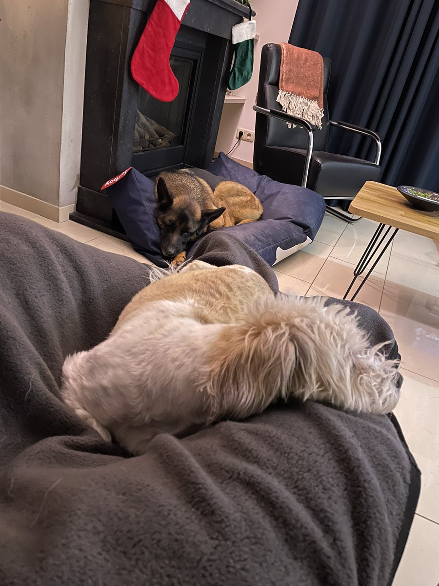 Deets462's tweet photo. @VraagAnthea Hier ook 1 op schoot 😉. Die andere boeit het niet https://t.co/CCRXnrHMXj