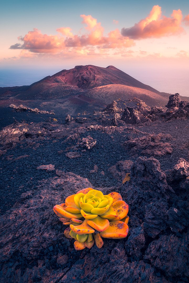 Acordémonos  hoy de nuestros hermanos palmeros!! Por un 2022 en el que puedan ir recuperando sus vidas tras la finalización eruptiva del volcán de #CumbreVieja. Un abrazo fuerte para todos ellos y mucho ánimo!! 💪🇮🇨💚 #LaPalma