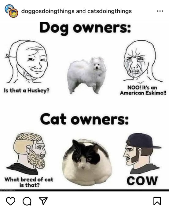 lmfaooo 👀 https://t.co/GjrgHJz81R