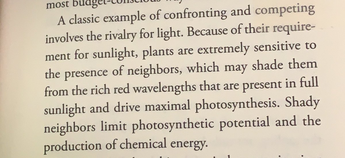My brain is craving food outside of my discipline. So I’m reading: #LessonsfromPlants by <a href="/BerondaM/">Beronda L. Montgomery--@BerondaM at BSky</a> 

Watch out for those shady neighbors that are limiting your energy! 

@TWeiston 
#CiteBlackWomen #AcademicTwitter #AcademicChatter
