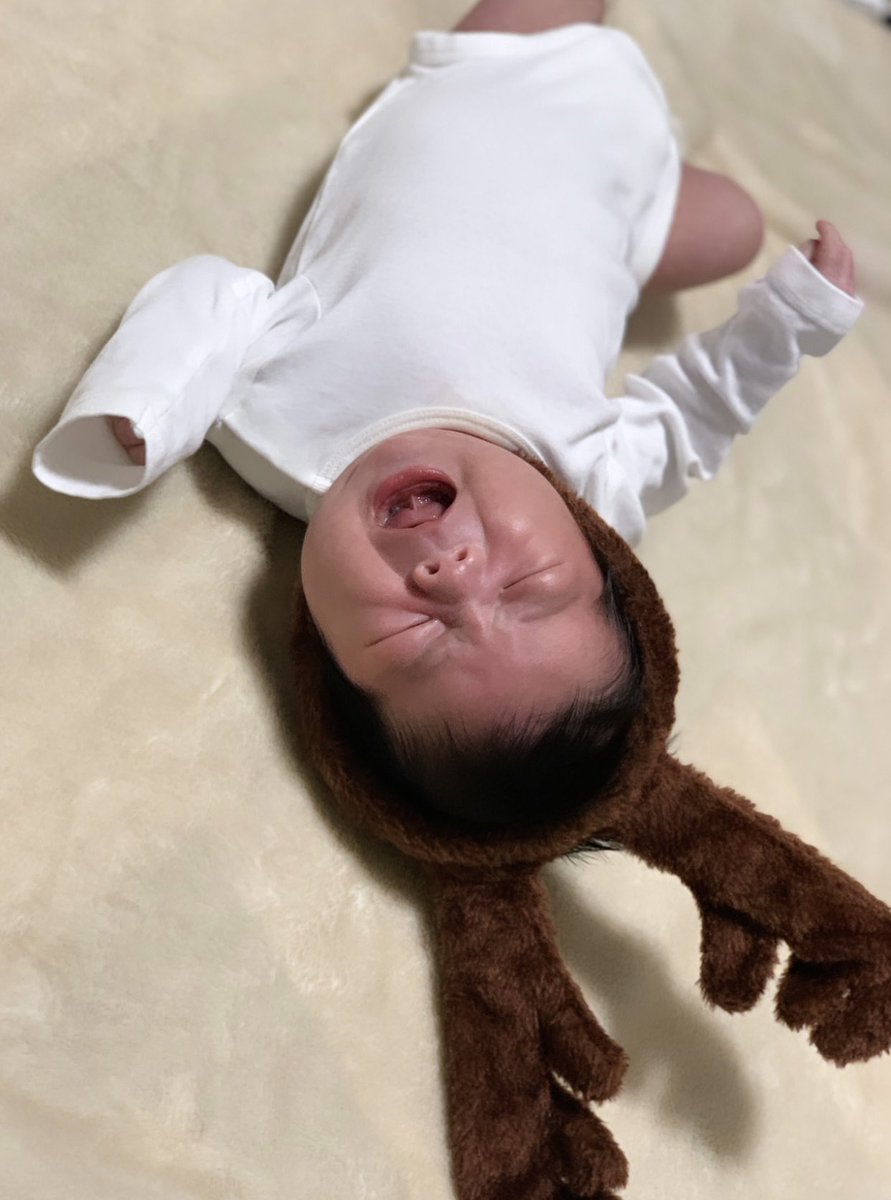 kashibamin's tweet photo. 1month🌈🐣 https://t.co/xNumJ3hzkX