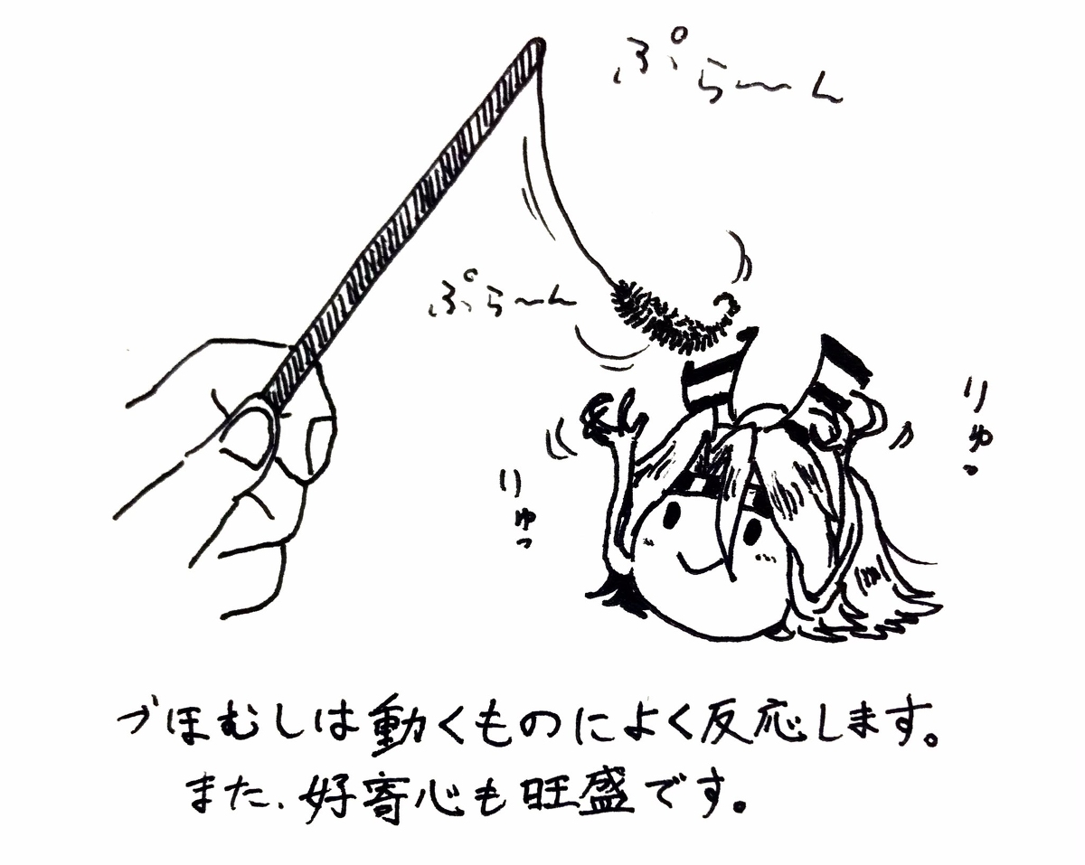 づほむしまとめ3 #艦隊これくしょん #艦これ #づほむし #瑞鳳(艦隊これくしょん) https://t.co/YhgtXrRDm7 