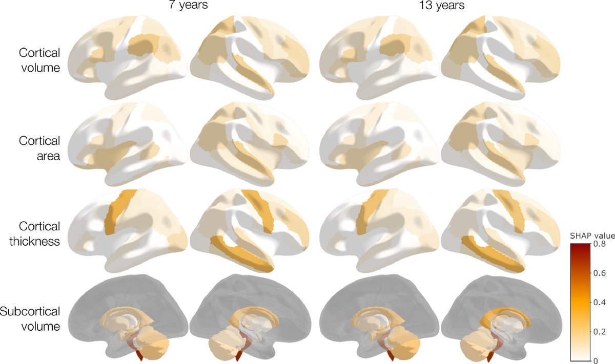 Our paper "Investigating brain structural maturation in children and adolescents born very preterm using the brain age framework" is now out in <a href="/NeuroImage_EiC/">NeuroImage</a> doi.org/10.1016/j.neur… 
With <a href="/garedaba/">Gareth Ball</a> <a href="/L1L_BRAIN/">Dr Lillian G Matthews 🧠</a> <a href="/jlyc2016/">Jeanie</a> <a href="/ProfLexDoyle/">Prof Lex Doyle AO</a> <a href="/InderTerrie/">Dr Terrie Inder</a> <a href="/DeanneThompson/">Deanne Thompson</a> <a href="/PeterAn42416669/">Peter Anderson</a>