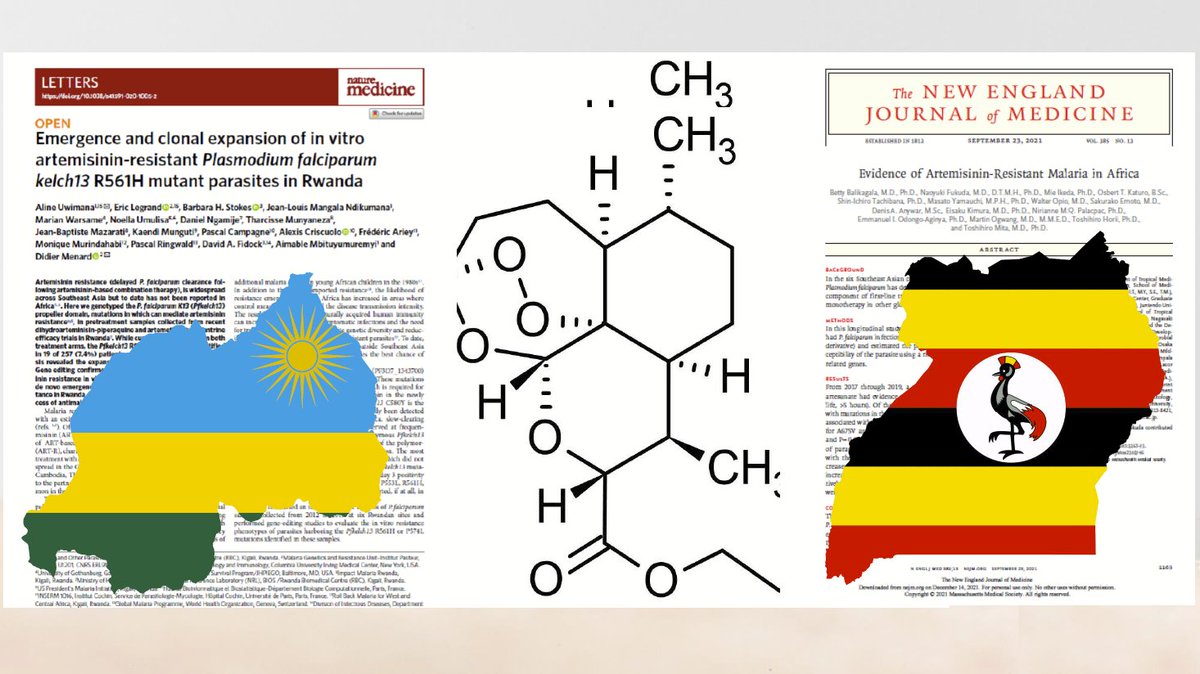 Fredros Okumu tweet media