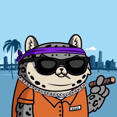 Transoverload tweet media