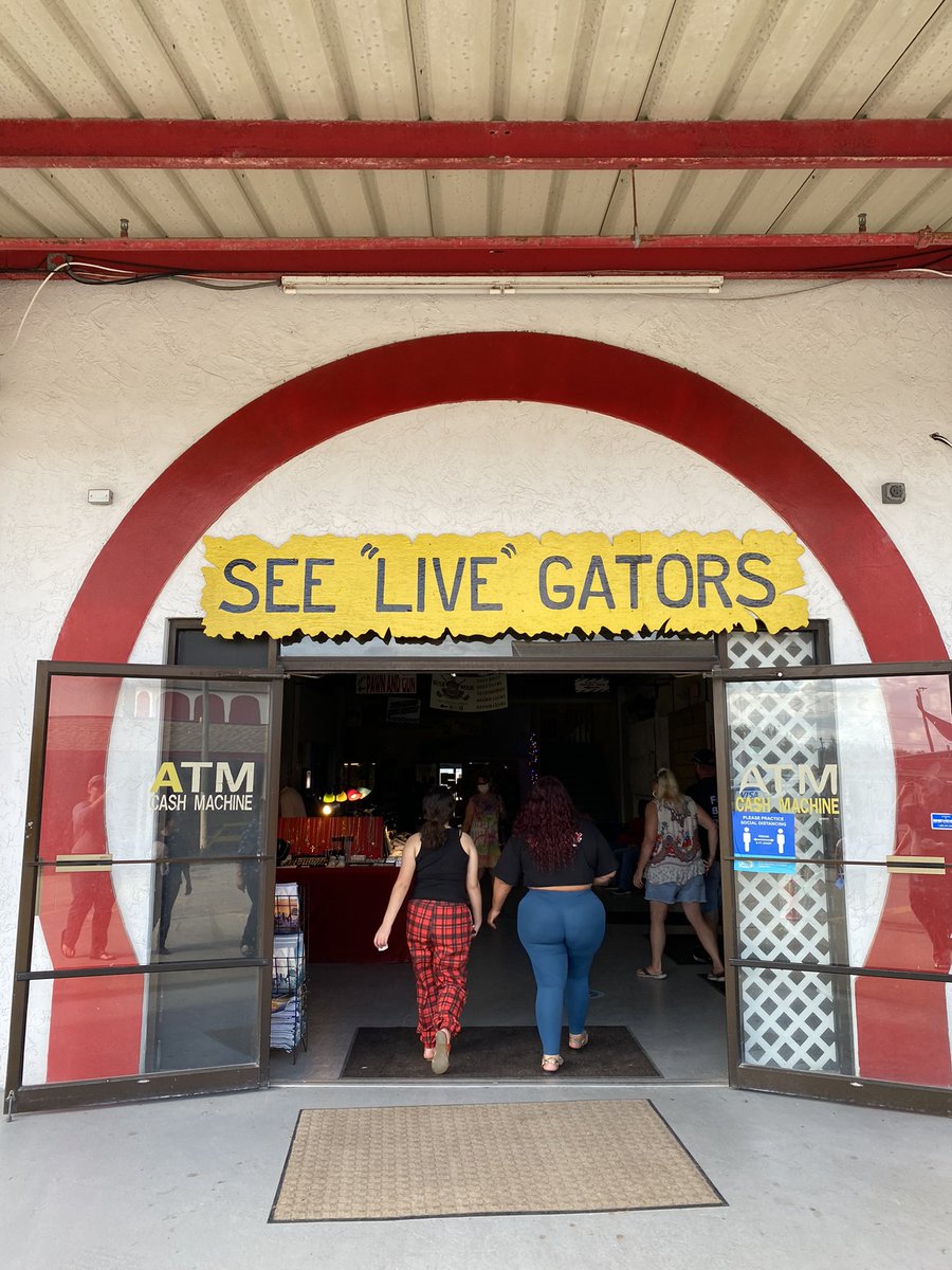 SeanCarrPhoto's tweet image. Florida is wild #florida #TaxationIsTheft