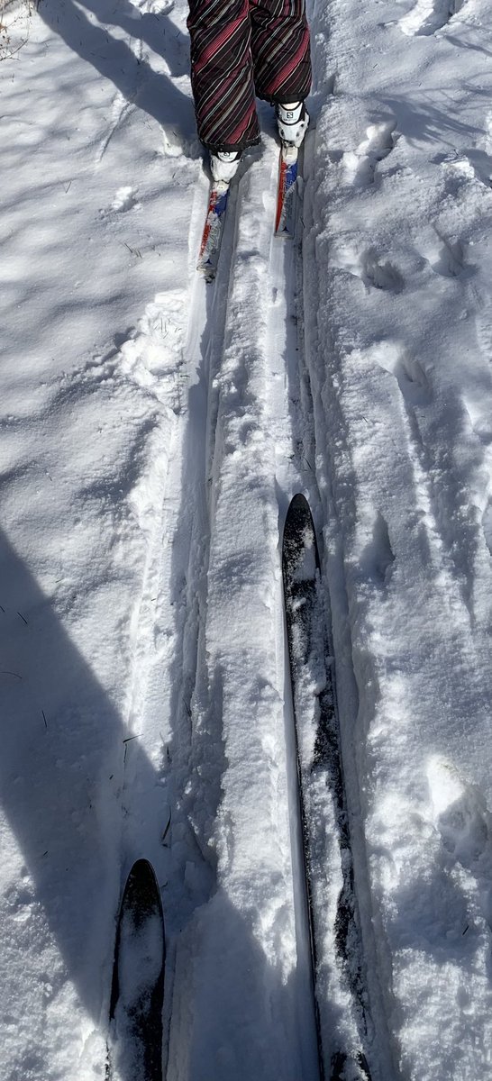 MariekePatton's tweet photo. Just enough snow for a ski in the sunshine! #MakingTrax βοΈ #LetItSnow https://t.co/EBx7gLLIlk