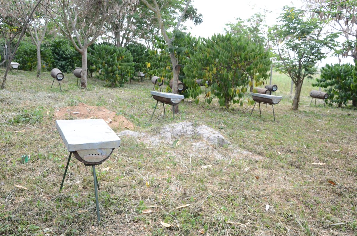 MINISTRY OF WATER AND ENVIRONMENT 🇺🇬 tweet media