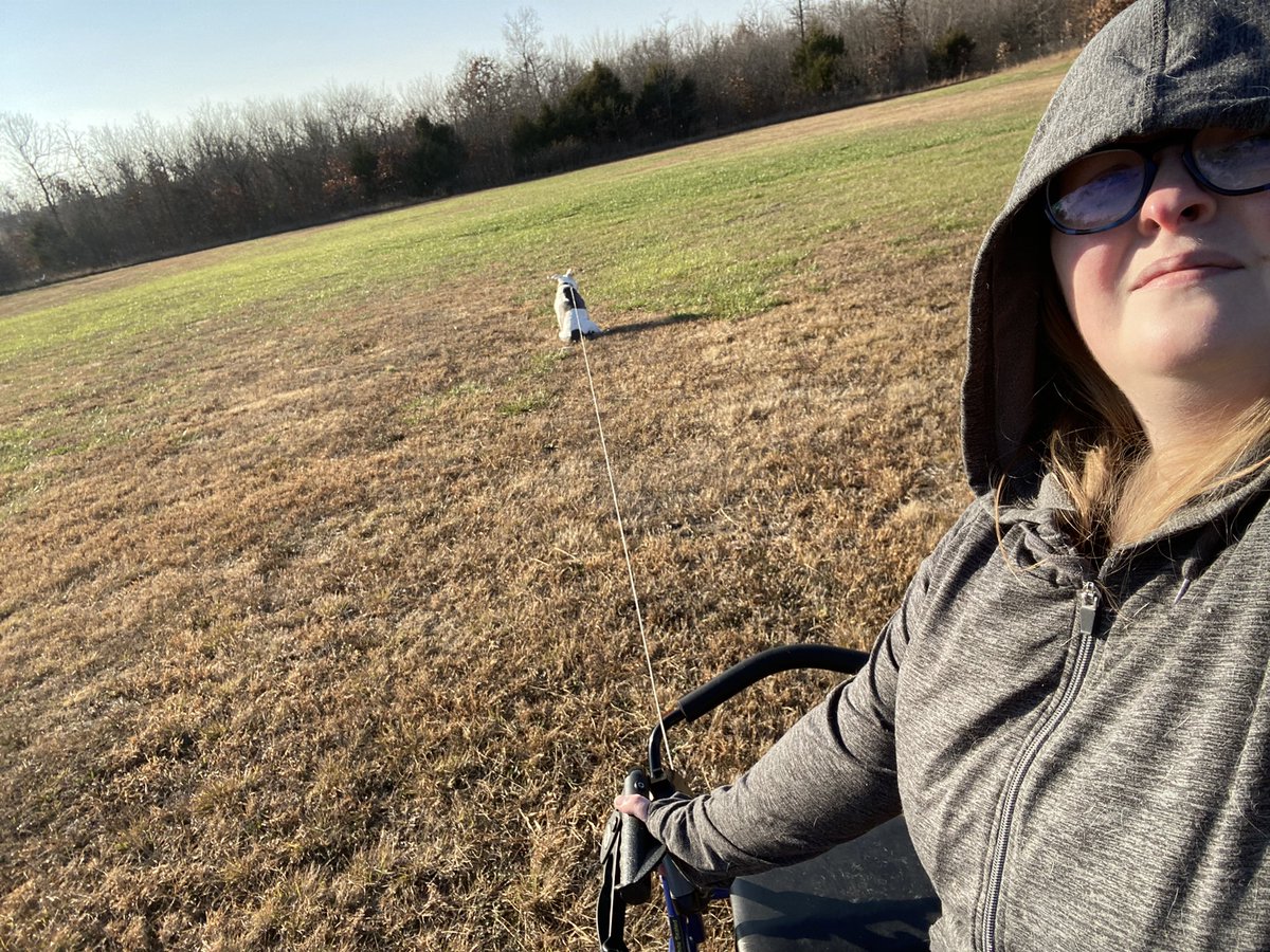 MommahsMusings's tweet image. When you just have to stop and contemplate cow life and cow happenings. Not like Mommahs standing there waiting or anything:p #cowproblems #anniecow #mommahproblems #cidp #walkingacow