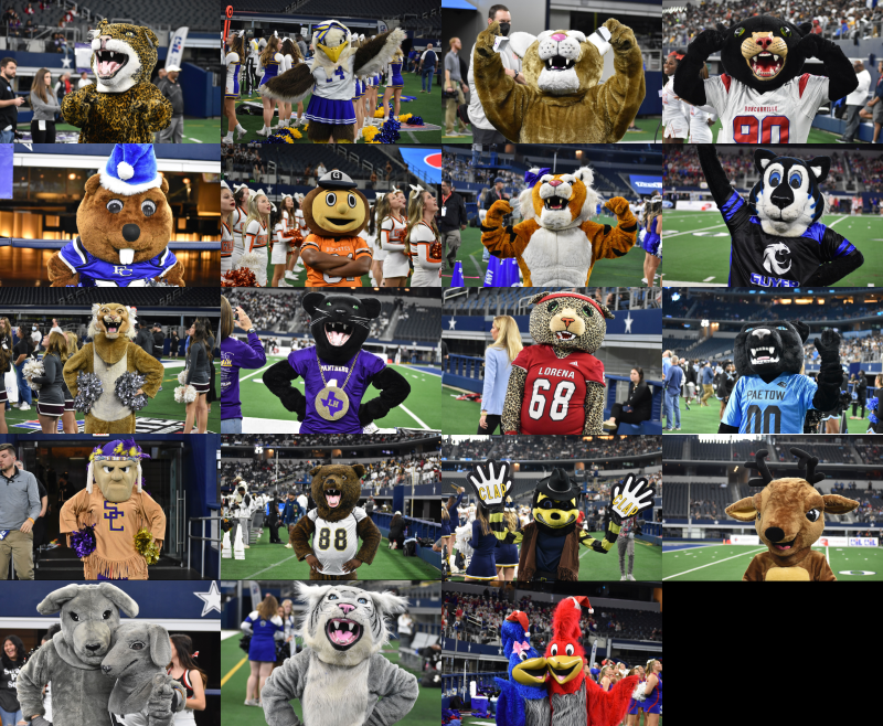 txhsfb(Tony Blalock) tweet media