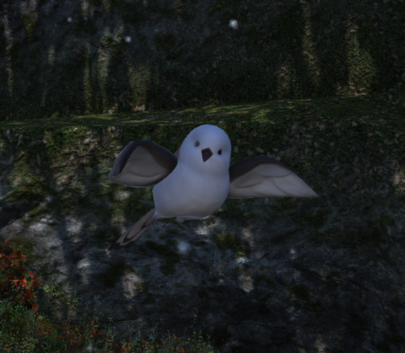 [Holds it gently in his hands.]

"I have had this creature follow me around for less than 3 hours but if anything happens to this creature I will destroy the planet and then myself, in that order."