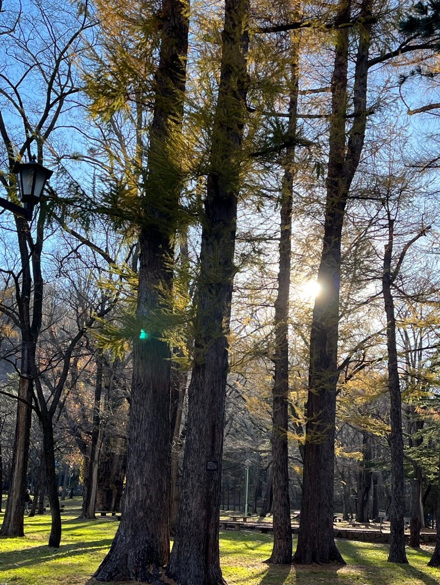 おはようございます☀ 月曜日の朝ですね 年末年始の準備も そろそろ本腰入れないと💦 皆さんの月曜日が 笑顔溢れる充実した一日に なりますように 今日も宜しくお願いします😊