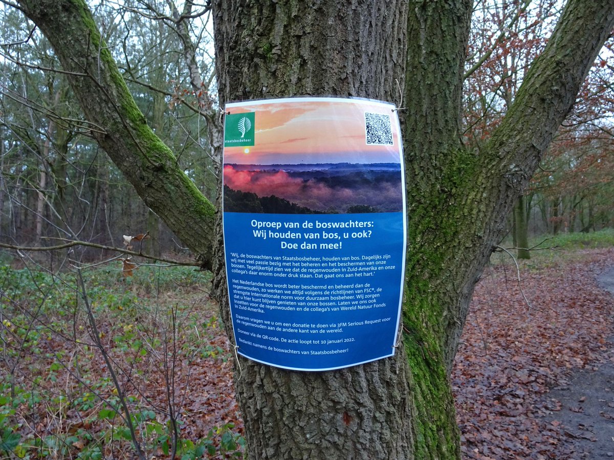 Morgen vroeg op pad naar het Leersumse Veld om daar samen met <a href="/Timur_Perlin/">Timur</a> van Serious Request een actieposter op te hangen. Wij, de boswachters van Staatsbosbeheer komen ook op voor het regenwoud #sr21, #SR21boswachters  npo3fm.nl/kominactie/act…